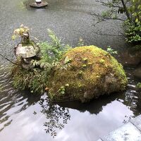 庭園は自然のままのようでいて、実はよく手入れされています