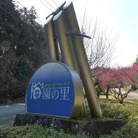 入り口の看板と梅が満開の坂道　