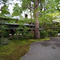 手入れの行き届いた庭