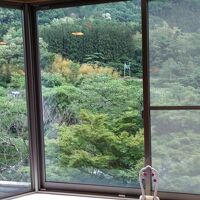 部屋の外は渓流