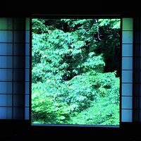 部屋の窓から見える新緑が綺麗