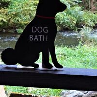 ペット用の足湯です