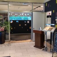 NYグリル＆ブッフェレストラン「フィオーレ」