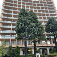 国立競技場の目の前