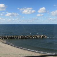 オーシャンビュー客室からの海のながめ