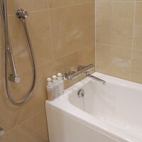 ミニボトルの他に通常のシャンプーも