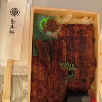 鰻弁当