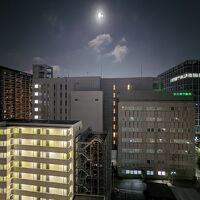 The view from the room