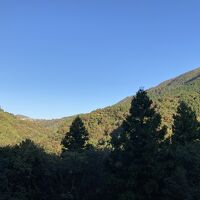 部屋からこの景色。