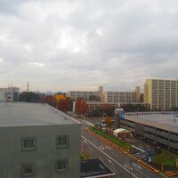 エキスポセンターのロケットが見える