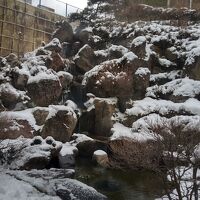 ロビーから見た中庭です。