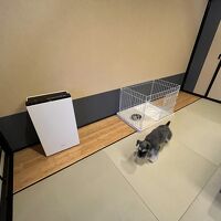 ゲージもあります