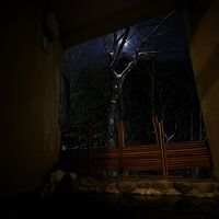 貸切なので夜は照明を消して、夜空を眺めてみることも…