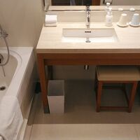 ガラスのパネルでなくシャワーカーテンの部屋も少しあるみたいで