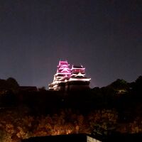 夜のライトアップ　色付きじゃない方がいいな