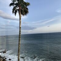 部屋からの眺め　良い感じ！