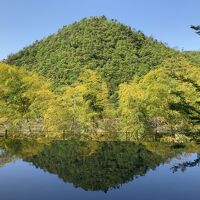 ロビーからの眺め