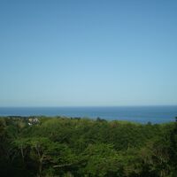 客室からの眺め