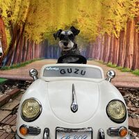 フォトスポット