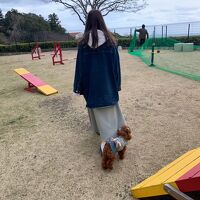 野外ドックラン