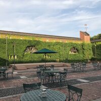 蔦のからまる外壁と中庭。