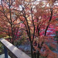 部屋のテラスからの眺望