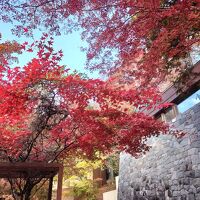 山路地のお部屋