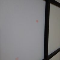 泊まった部屋は『桜の間』。障子に桜の花びらが！