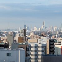 横浜みなとみらいのホテル群が見えます