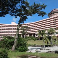 庭が広く散策できます