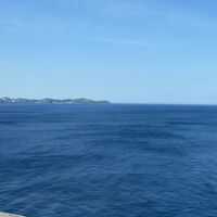 真鶴が見えます