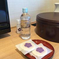 ペットボトルは、専用カバーの品物です。
