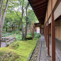 ホテルの入り口から玄関までの庭