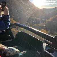 早朝の紅葉無料バスツアーに参加しました