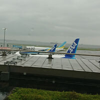 AIRDO機がみえる。ホテルから最も近いカウンターはAIRD