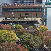 駅前のケヤキ並木も綺麗でした