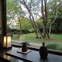 陶芸家渡辺陶生（花の木主人渡辺陶生）の作品が並ぶ窓際