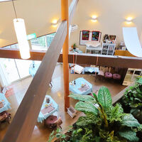 ２階から眺めたレストラン。吹き抜けなので。