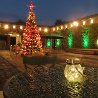 中庭がライトアップされています。