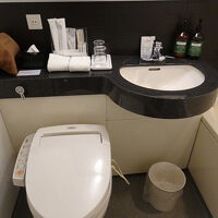 洗面やトイレは一般的ですね