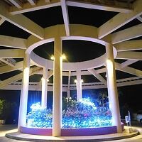 イルミネーション