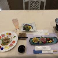 安いプランの夕食はかつおタタキなどのコース料理。