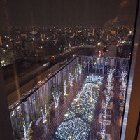 高層ゆえに中層のガーデンを見下ろす特殊な眺望もあり