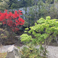 小さいですが中庭があり、芍薬などが咲いていました