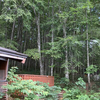ブナの原生林と露天風呂のあるところの塀です