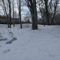 ザ・ひらまつ・軽井沢御代田の美しい森