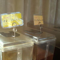 朝食バイキングの一部（ドリンク）