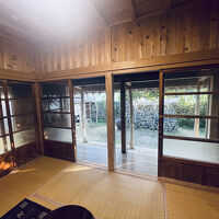 部屋からのぞむお庭。