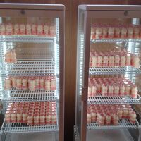 乳酸菌飲料も飲み放題だ