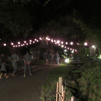 夜の雰囲気も良いです